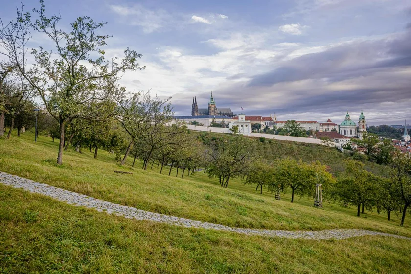 Orchard in Petřín / via IPR Praha