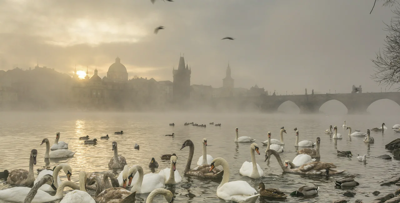 Fog rolls in along the banks of the Vltava river in Prague at sunrise. (photo: iStock)
