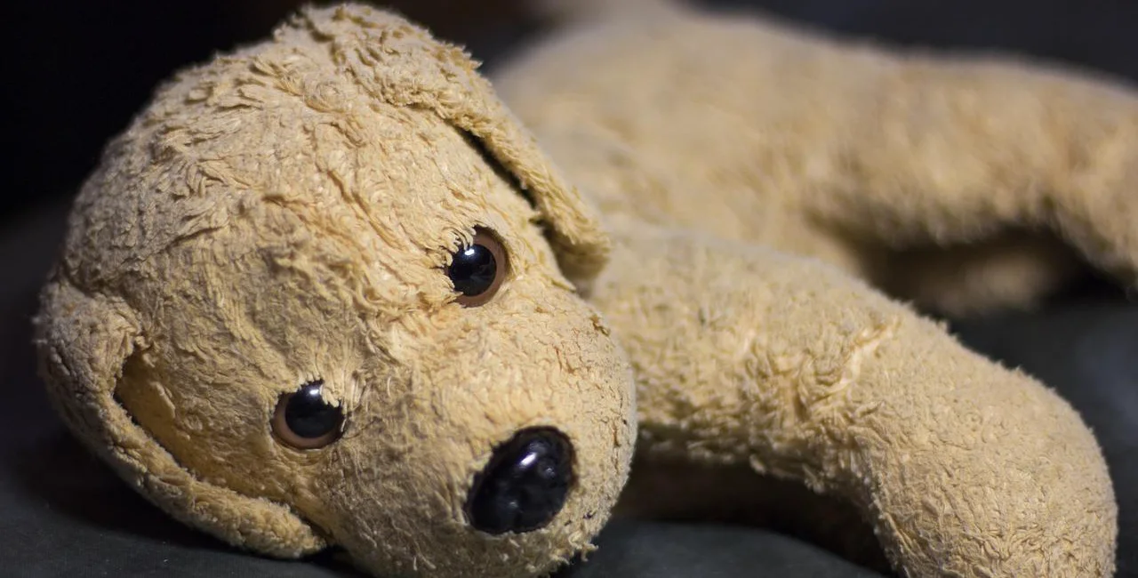Illustrative image of a stuffed dog / via Pixabay, 