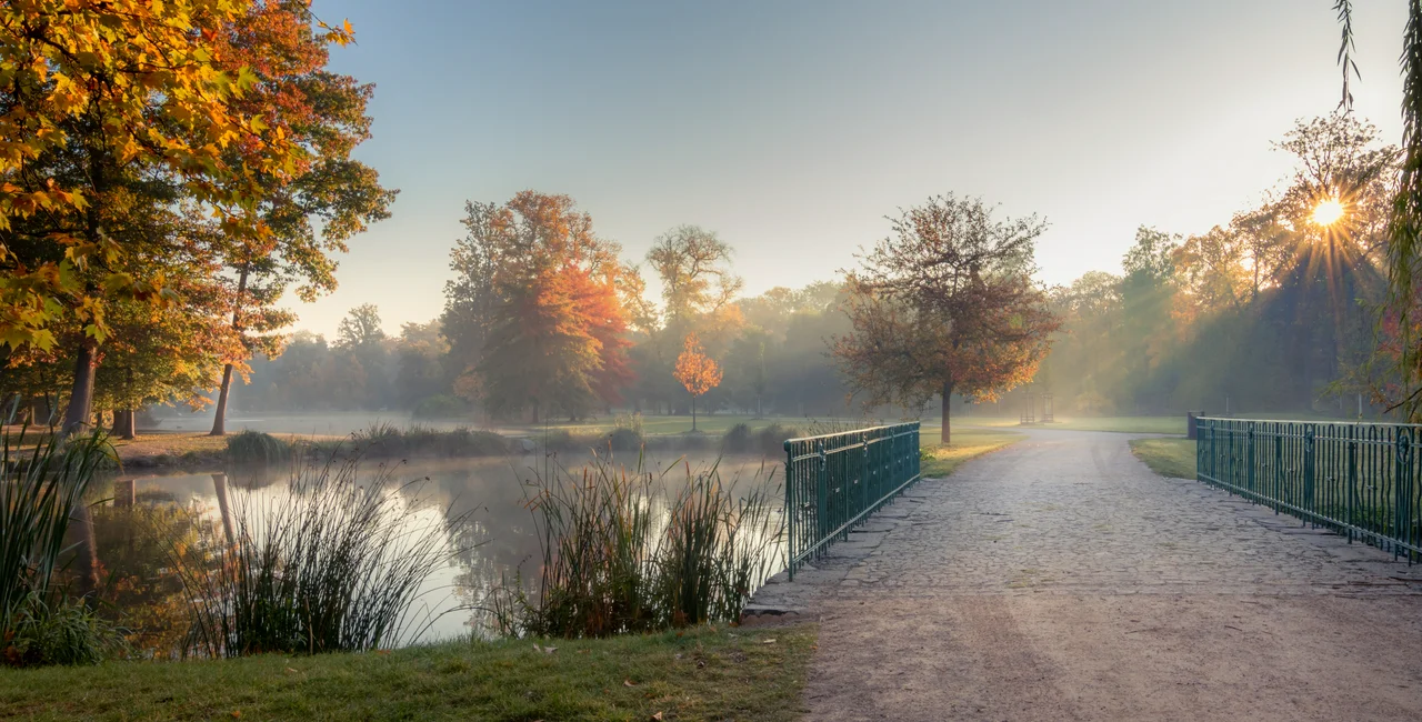 The beauty of Stromovka park is being put at risk from an influx of visitors recently. (photo: iStock)