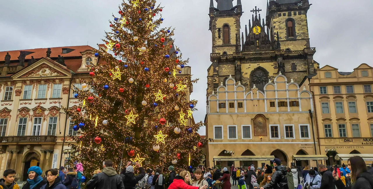 The official Prague Christmas tree was lit Friday on Old Town Square. (photo: Raymond Johnston - Expats.cz)