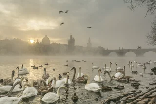 Fog rolls in along the banks of the Vltava river in Prague at sunrise. (photo: iStock)