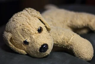 Czech police catch man in South Bohemia walking a stuffed dog in attempt to skirt curfew