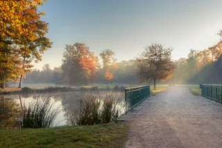 The beauty of Stromovka park is being put at risk from an influx of visitors recently. (photo: iStock)
