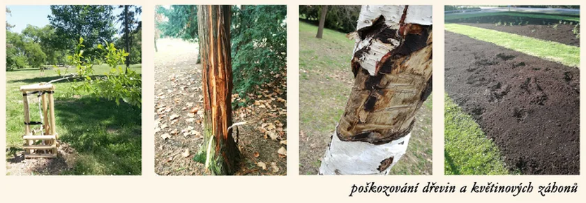 Some of the vandalism in Prague's Stromovka park. (photo: courtesy of Prague 7)
