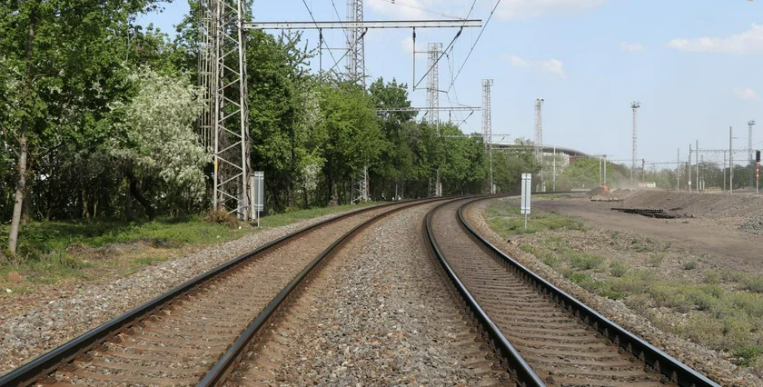 Railway line near Eden. (photo: Tomáš Cach, Terra Florida, Petr Tej)