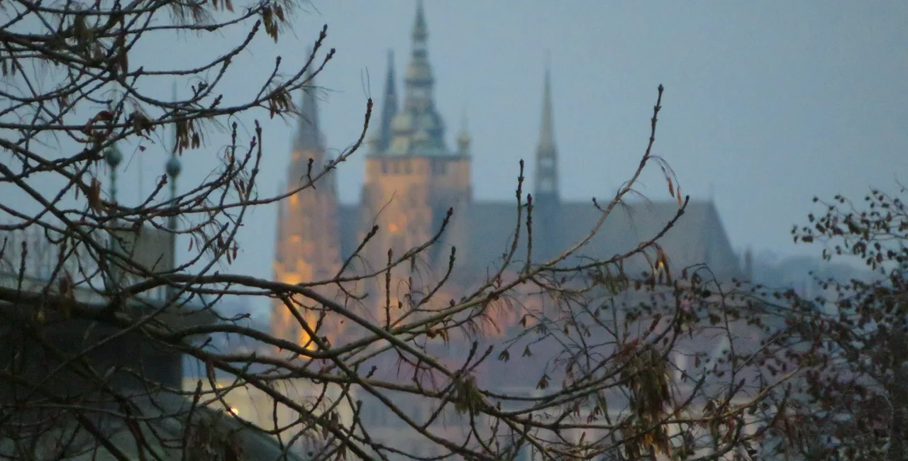 View of Prague Castle from Riegrovy Sady (photo Raymond Johnston / Expats.cz)