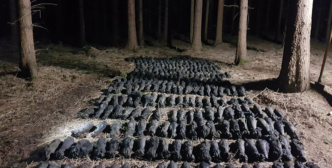 300 World War Two artillery mines were discovered in the Czech Republic. Photo: Policie České republiky