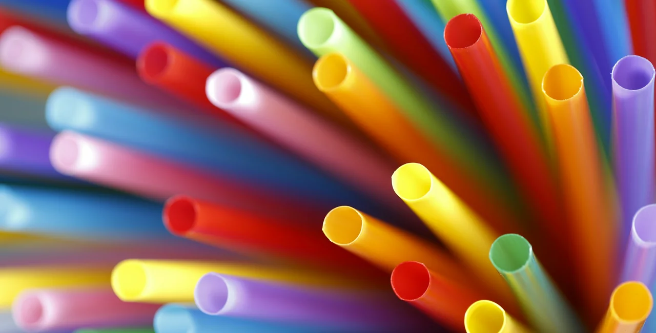 The Czech government has passed a bill approved the single-use plastics ban. (Photo iStock / bernie_photo)