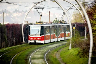 Prague tram in a green stretch of tracks. (photo: DPP)
