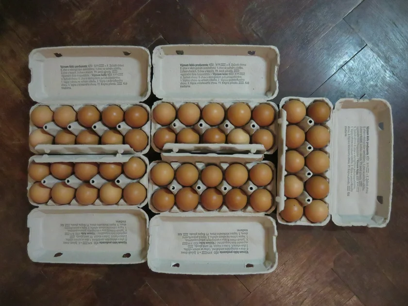 These boxes of eggs were found when dumpster diving