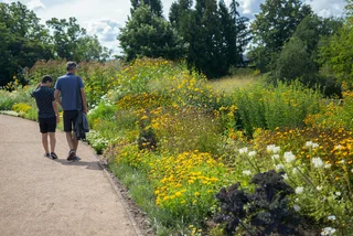 Botanical gardens in the Czech Republic are seeking government support (photo: Prague Botanical Garden / Facebook)