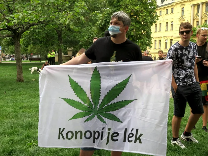 Banner saying marijuana is medicine at the 2020 Million Marihuana March. (Photo: Raymond Johnston)