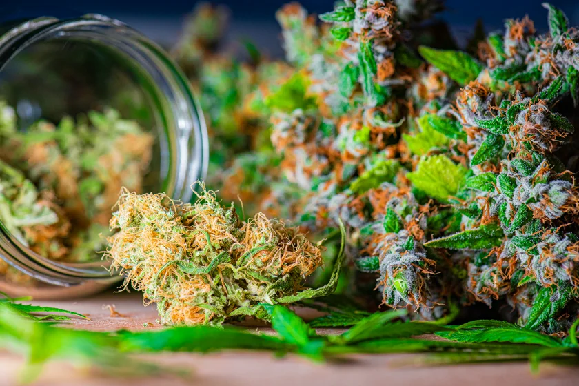 Medical marijuana. Photo via iStock/Rocky89.