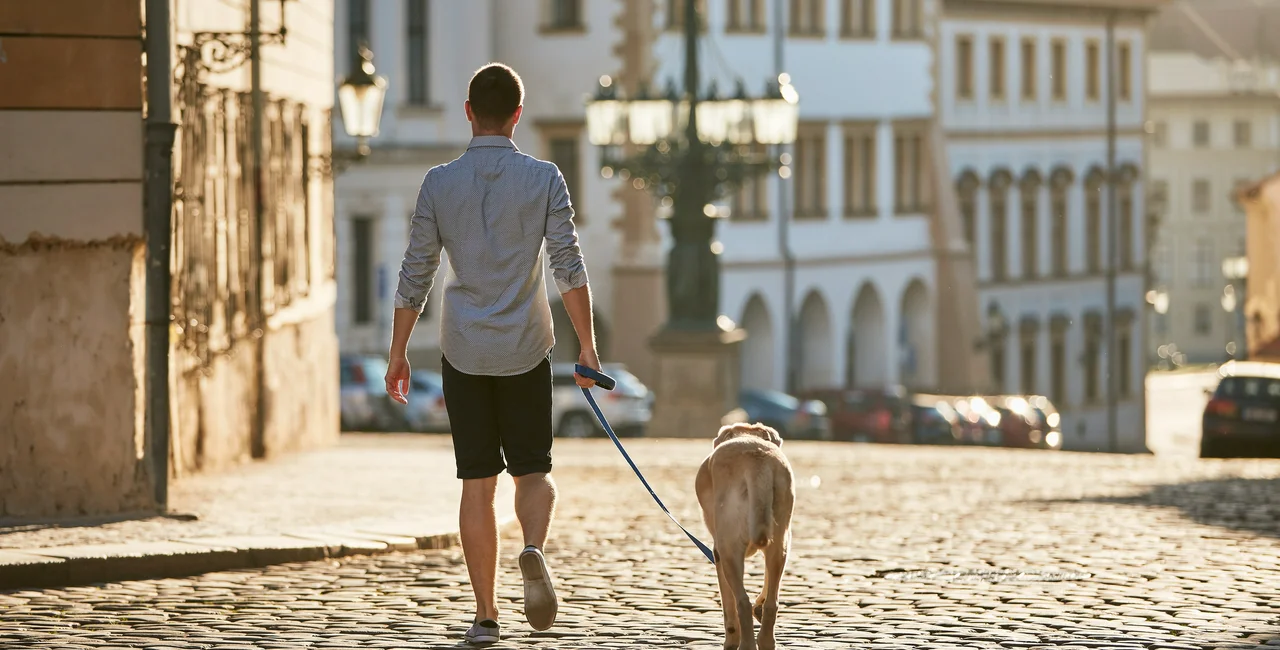 Man walking with dog on street at sunrise in Prague. (Photo: iStock, Chalabala)
