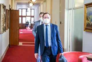 Czech Health Minister Petr Arenberger before a government meeting on May 3 via vlada.cz