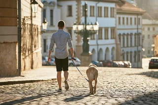 Man walking with dog on street at sunrise in Prague. (Photo: iStock, Chalabala)