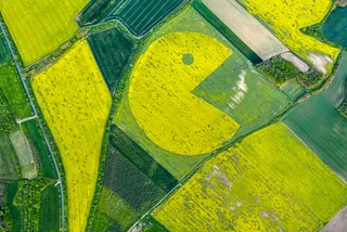 Czech activists cut giant Pac-Man into rapeseed field in protest of prime minister