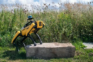 Czech Technical University receives dog-like SPOT robot to explore unknown terrain