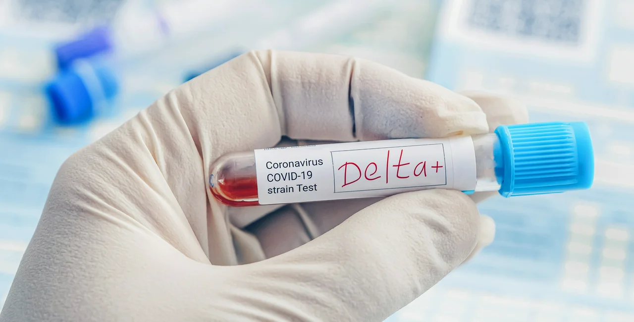 Blood sample with the Delta variant. (Photo; iStock, Diy13)