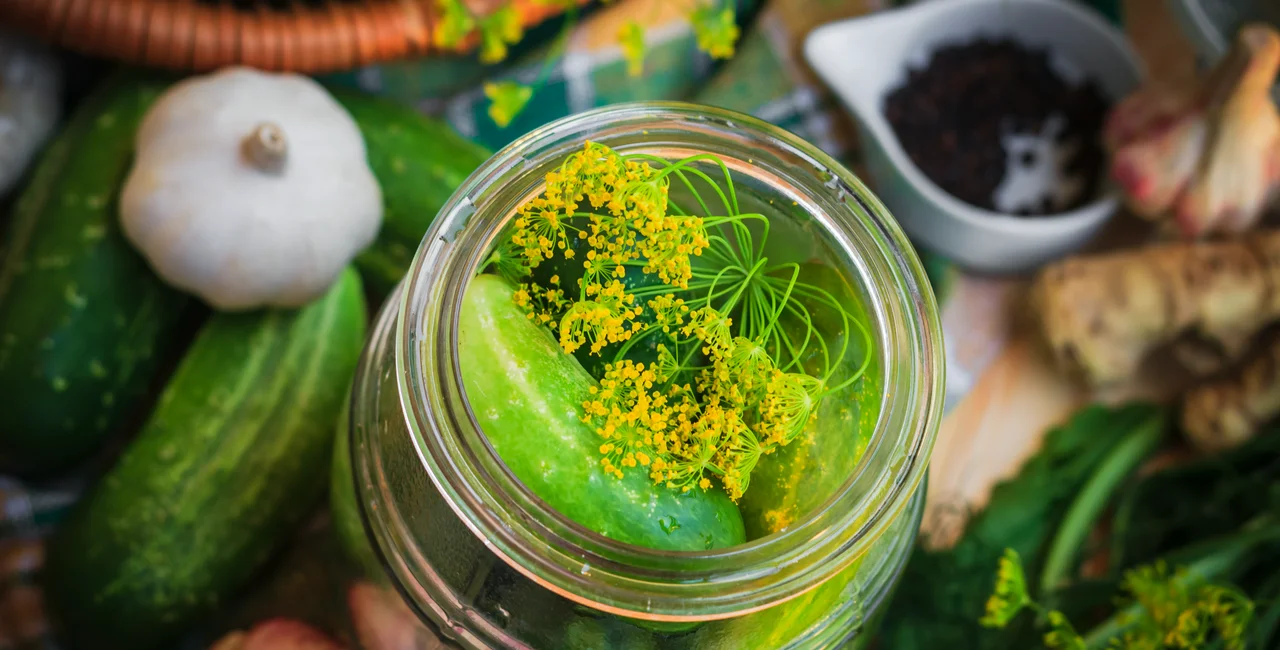 Illustrative image of pickling ingredient (iStock - Yotka)