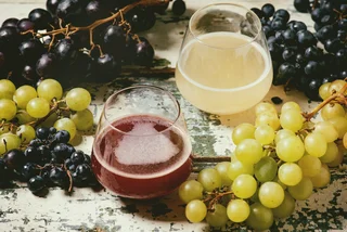 The first grapes are already fermenting, and burčák season is about the start