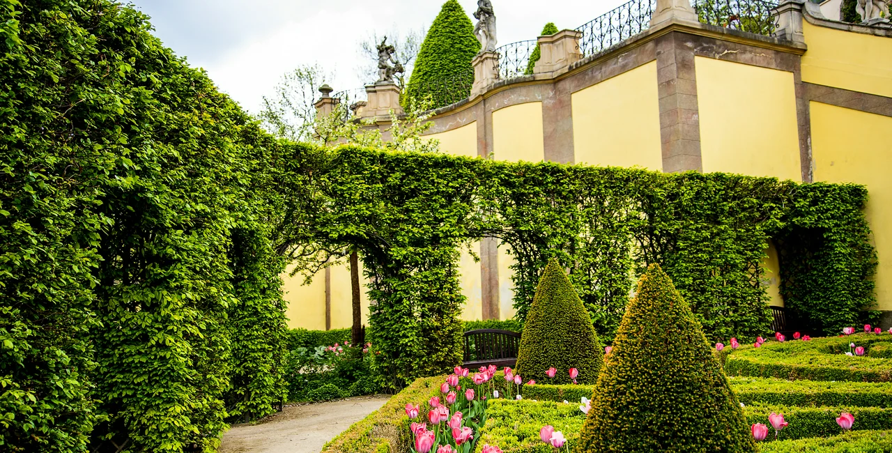 Vrtba Garden is one of Prague's high-Baroque gardens / photo iStock: Brenda Kean