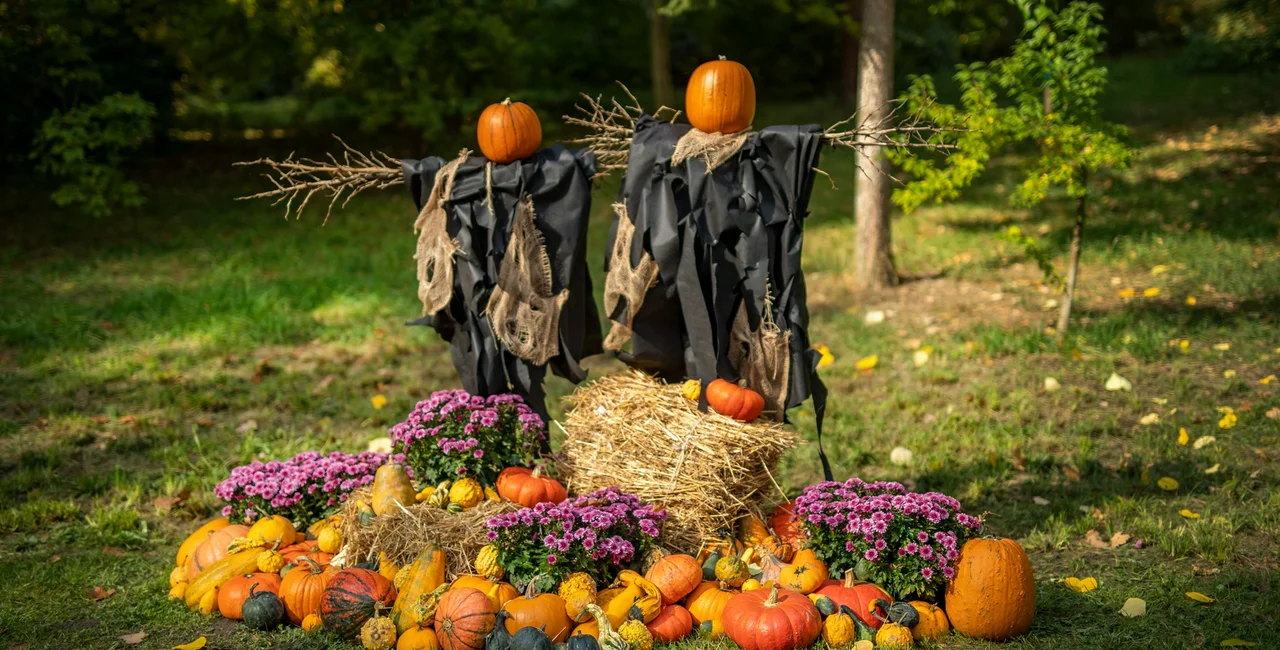 Prague's Botanical Garden celebrates Halloween with ghosts, pumpkins, and more