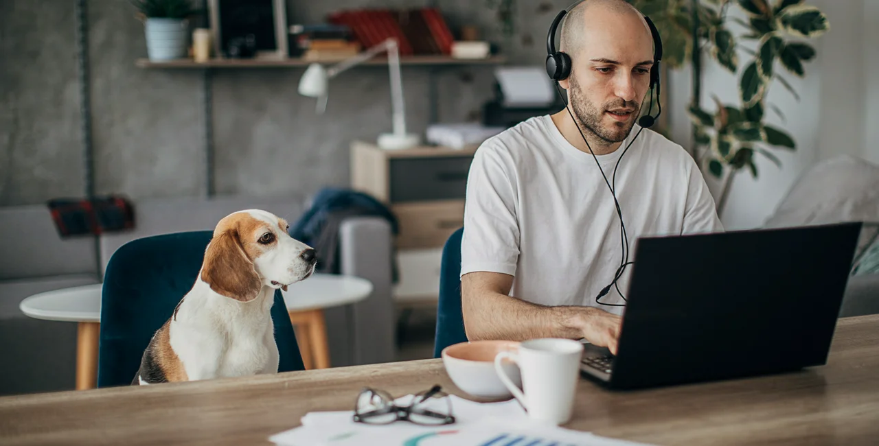 "With a little help from my friends": working from home became a new norm during the pandemic / photo iStock @South_agency