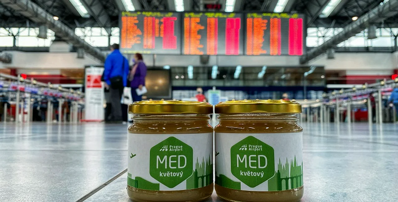 Czech honey made at Prague airport