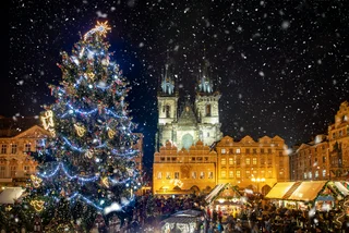 Prague selects Old Town Square tree, announces market dates