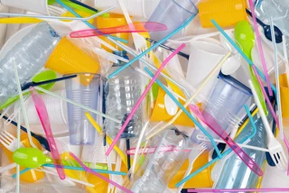 Last straw? Czechia's disposable plastics ban moves forward