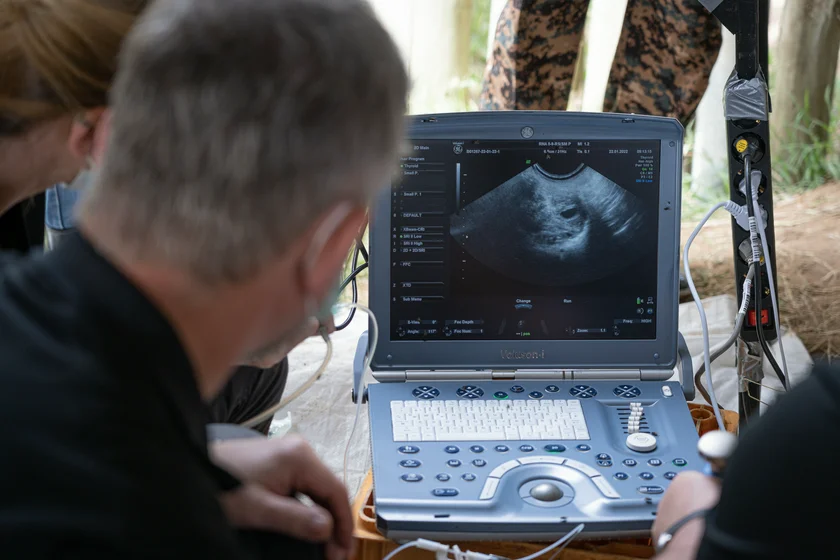 Using ultrasound for egg collection. Photo: BioRescue/Jan Zwilling.