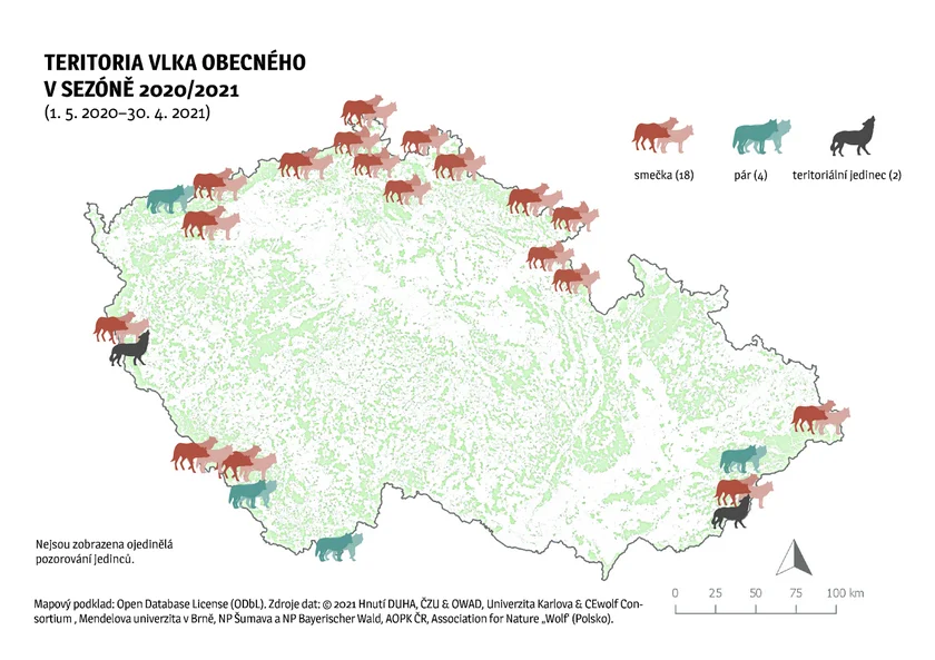 Wolf populations in the Czech Republic. Image: