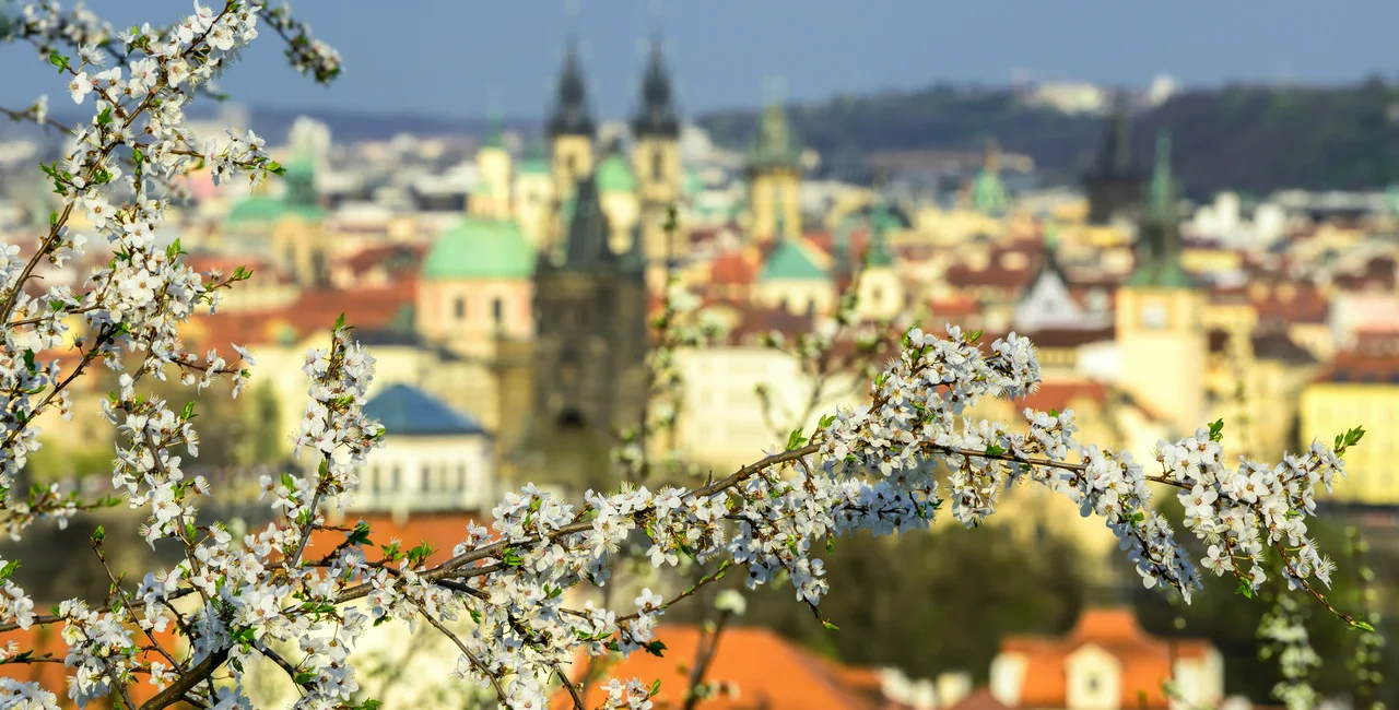 Springtime in Prague / photo iStock @MarekKijevsky