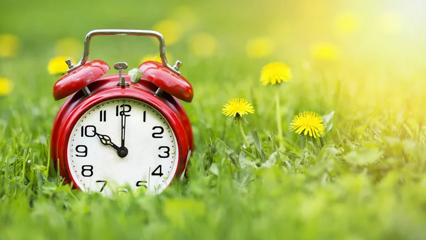 Alarm clock in a spring meadow. Photo: iStock / Wavetop