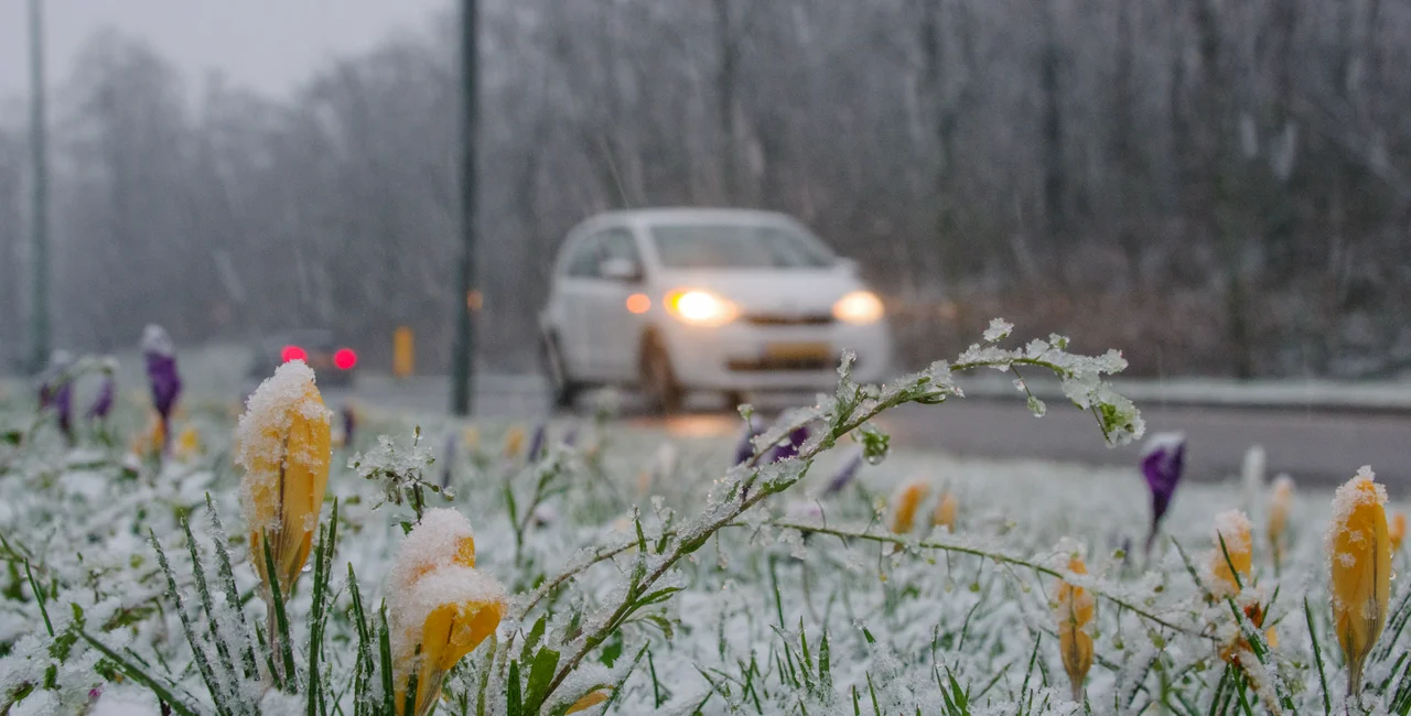 A snow warning will be in place in areas of Bohemia from 18:00 tonight / photo iStock @middelveld