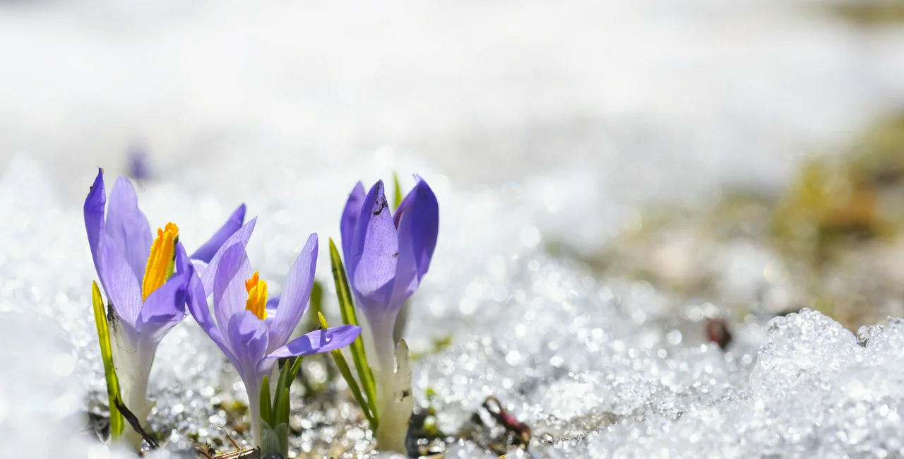 Snow and ice is coming this weekend / photo iStock @Ekspansio