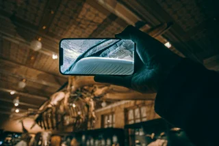 Czech National Museum's fin whale comes alive with new app