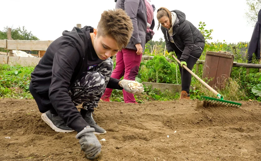 Students gardening in an allotment