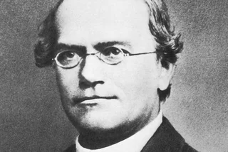 Gregor Mendel / photo public domain