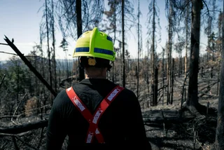 News in brief for April 28: Man confesses to setting devastating fire in Czech national park