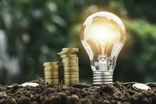 Light bulb with coins. Photo: iStock / Mintr