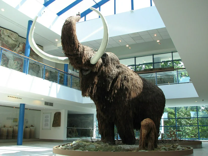 Mammoth model at the Anthropos Pavilion. Photo: Wikimedia commons, public domain