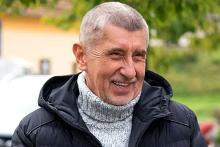Opposition party ANO leads first round of Czech Senate elections