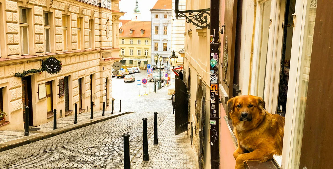 Illustrative image, Prague waking up via Unsplash