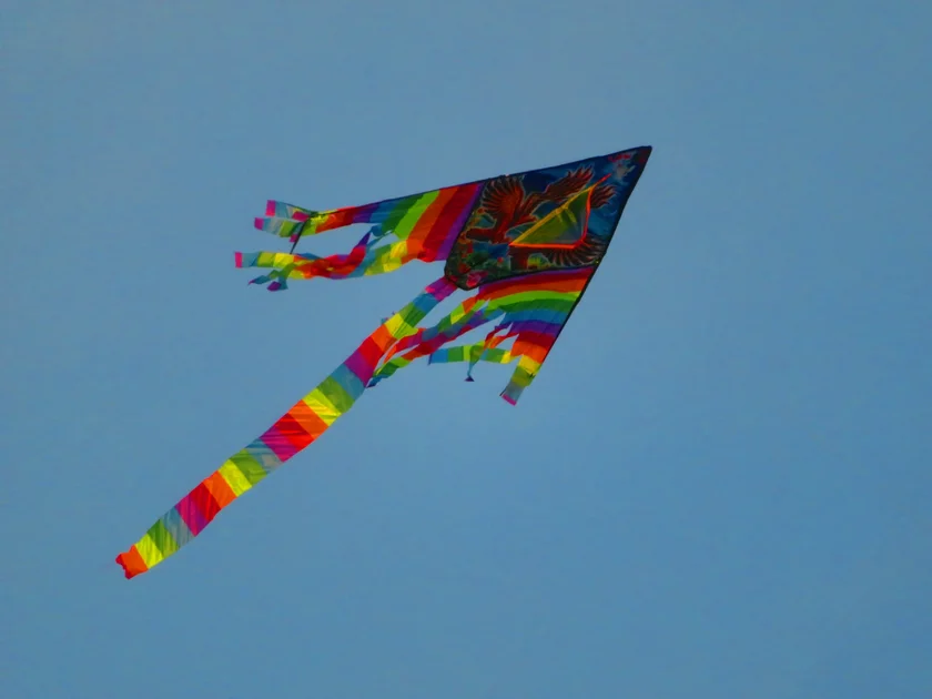 Kite at Parukářka on a fall day. Photo Raymond Johnston