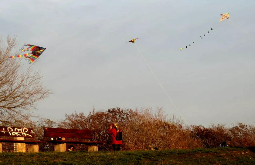 Kites at Parukářka on a fall day. Photo Raymond Johnston