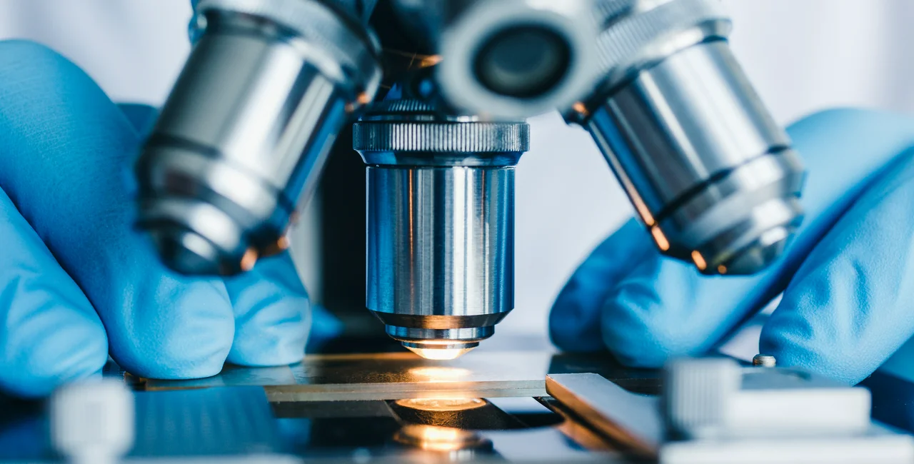 Czech spending on research and development broke records last year
