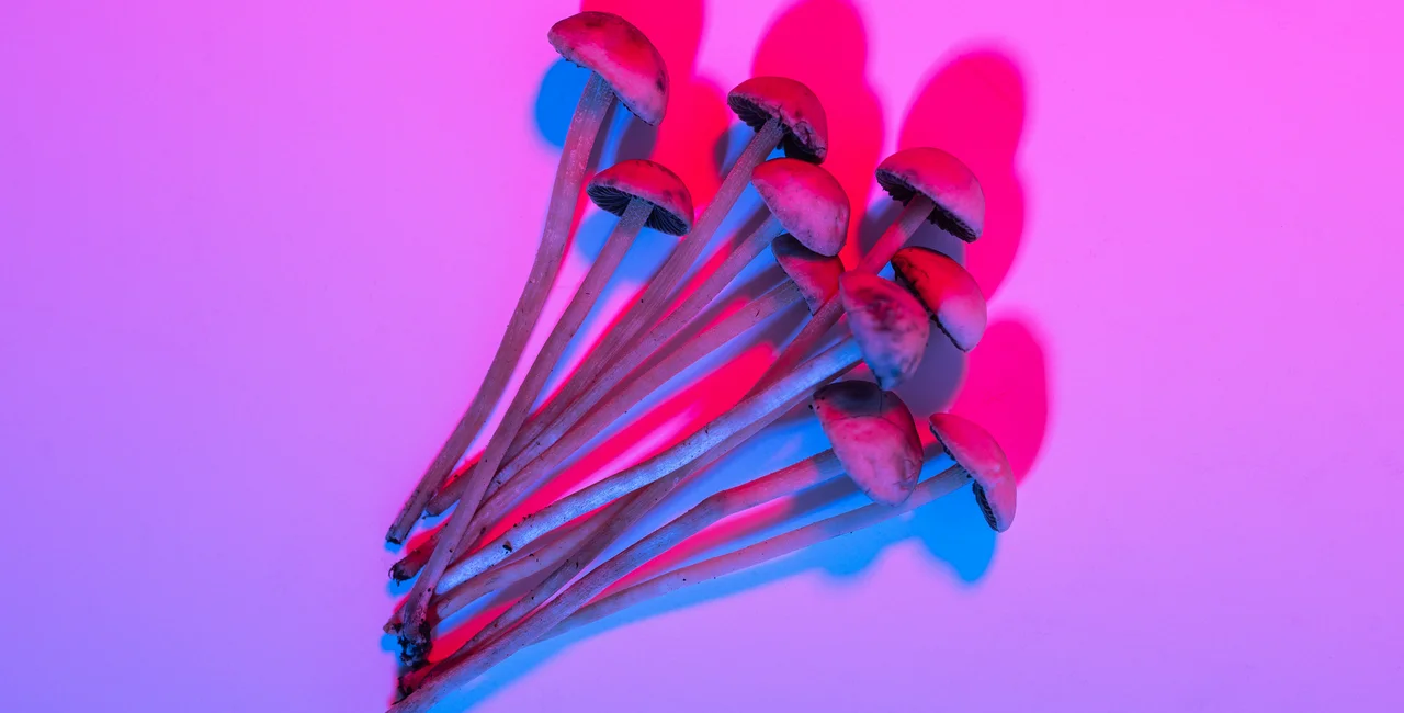 Illustrative image of psilocybin / iStock - Yarygin